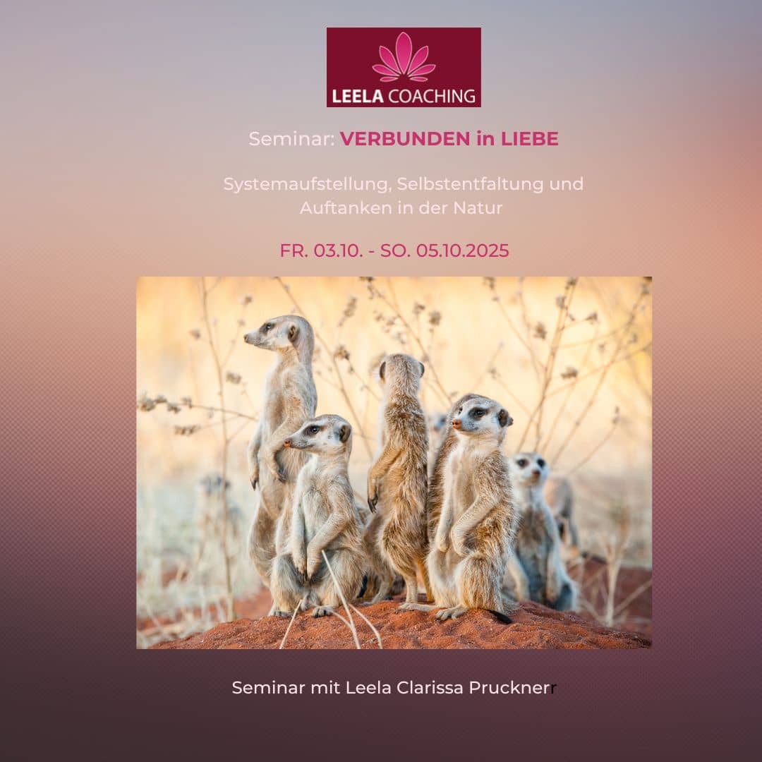 Verbunden in Liebe 10_25 Leela Coaching, Enneagram Expertin, Graz, Paarcoaching